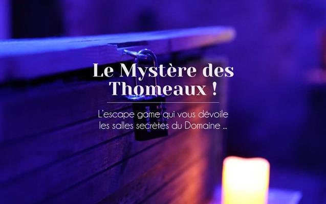Hôtel le Domaine des Thomeaux
