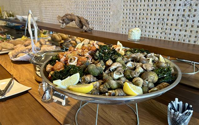 Hôtel le Domaine des Thomeaux